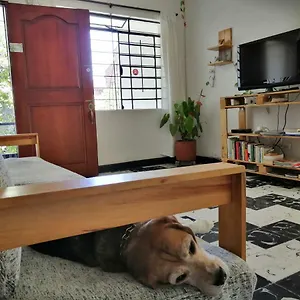 Selvática Albergue Medellín